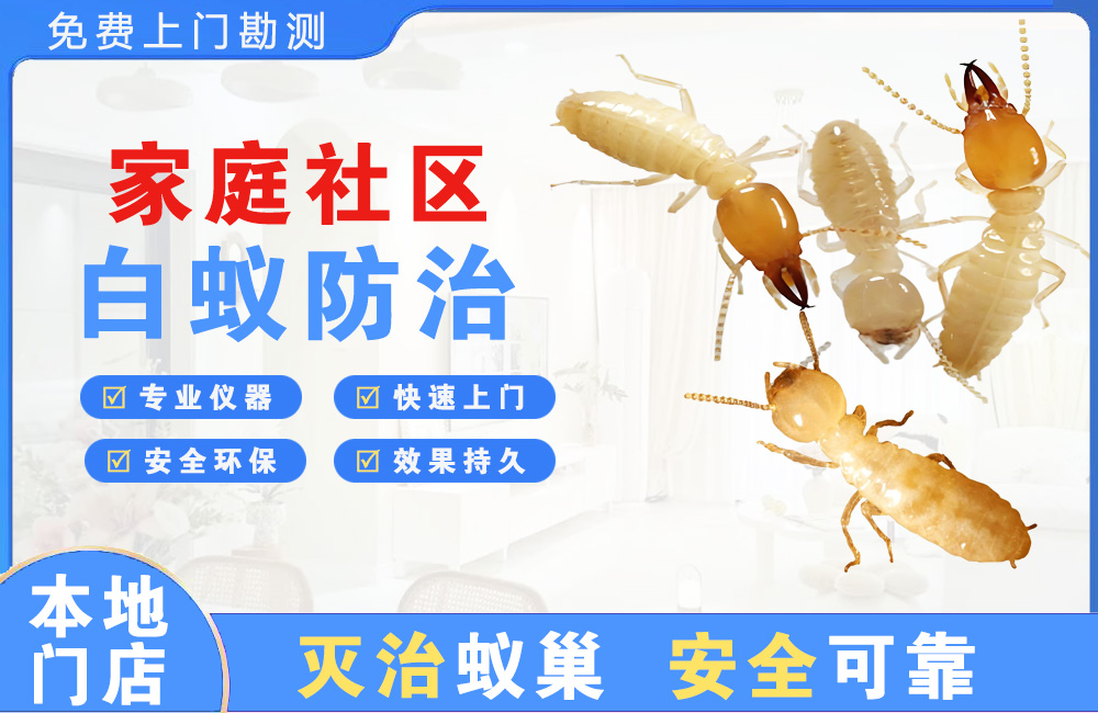 涪陵家庭社区白蚁防治
