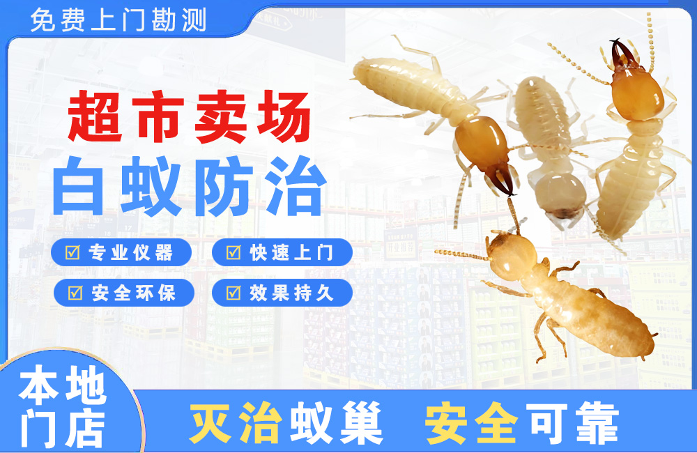 涪陵超市卖场白蚁防治