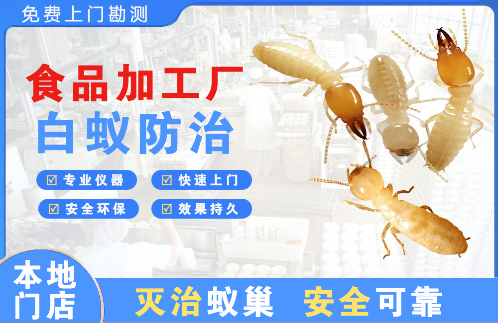 涪陵食品加工厂白蚁防治