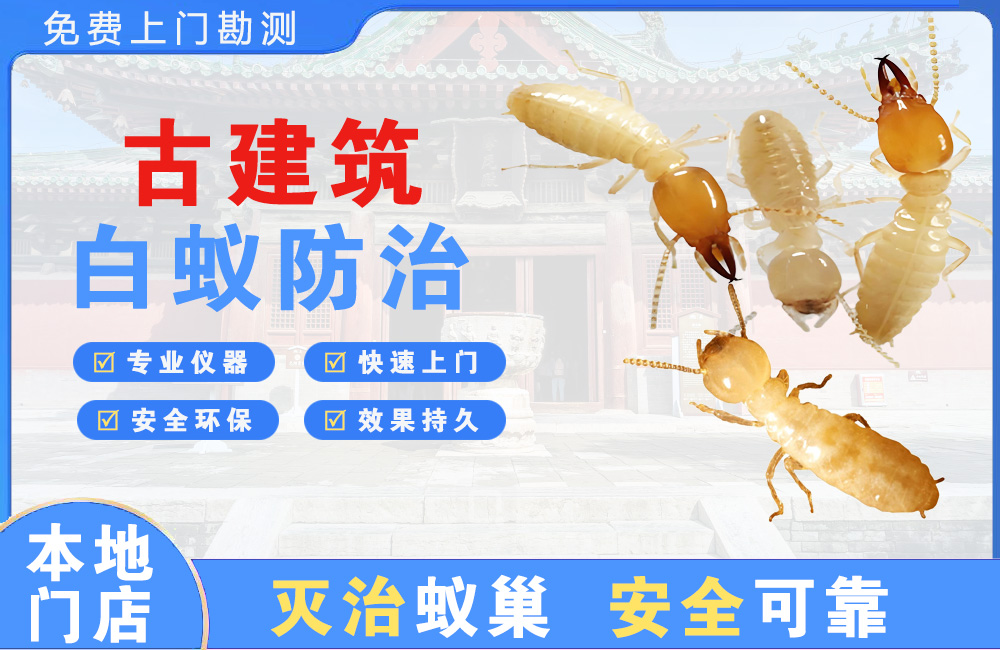 涪陵古建筑白蚁防治