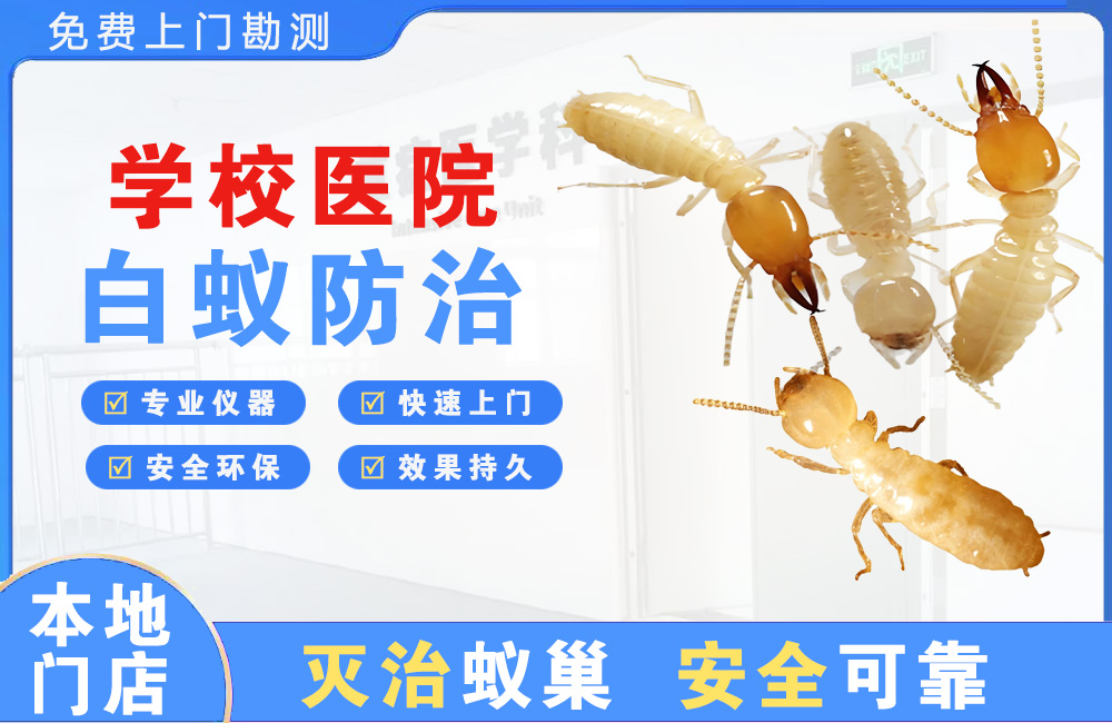 涪陵学校医院白蚁防治