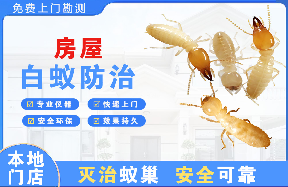 涪陵房屋白蚁防治