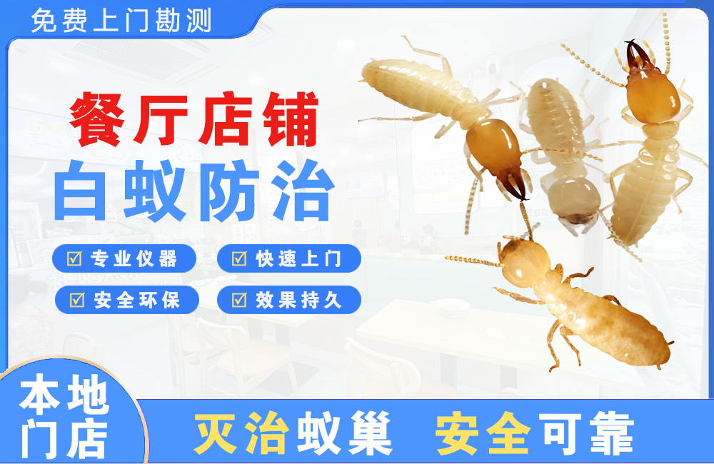 涪陵餐厅店铺白蚁防治